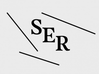 Black serif letters S, E, R angle diagonally downwards along three straight black lines along a platinum background